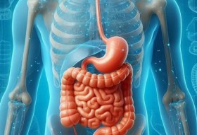 Gastroenterology Clinic